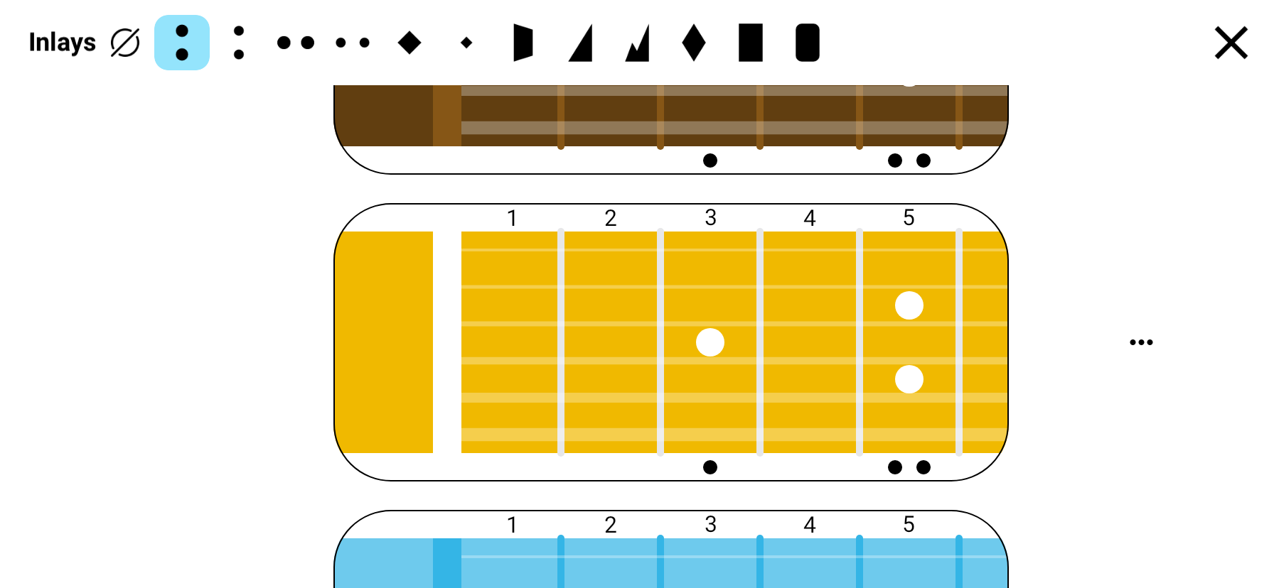 Fretboard style selection and display options